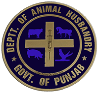 AHD Logo